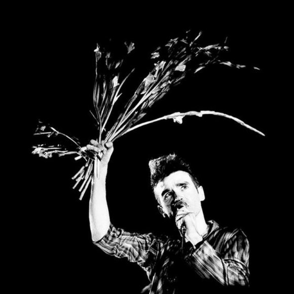 Meet your Posher, Sandy - Picture 4 of 5